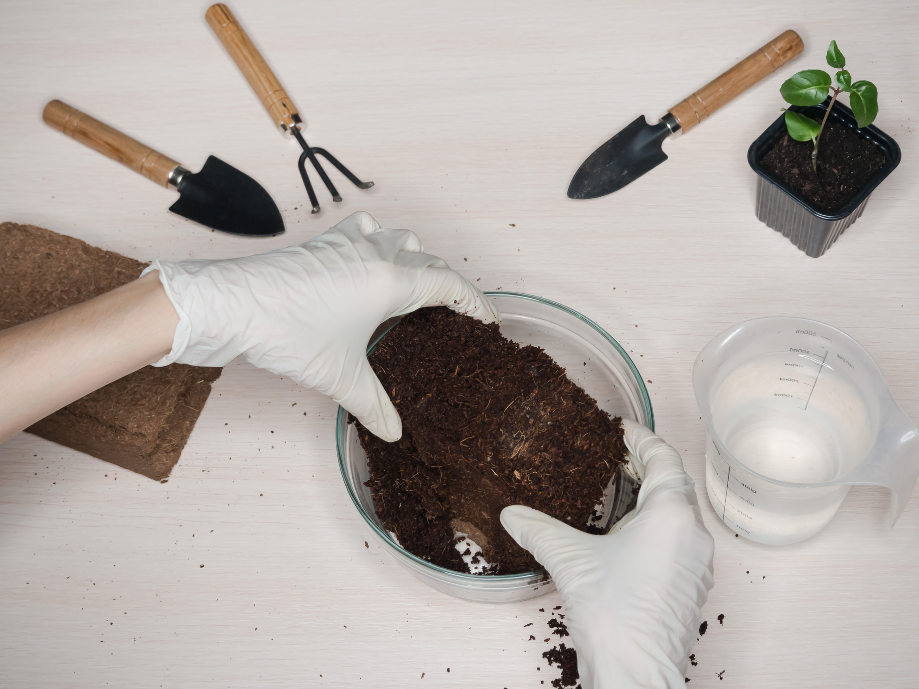 Coconut substrate for soil. Pressed coconut substrate briquette