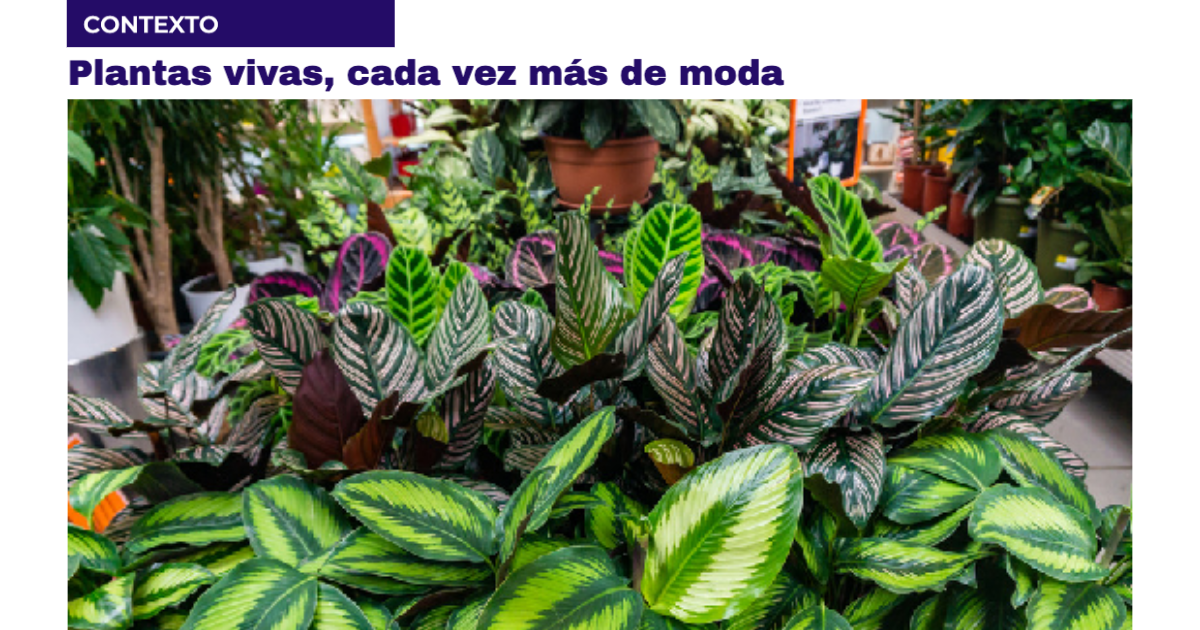 EL SEMBRADOR Nº 180