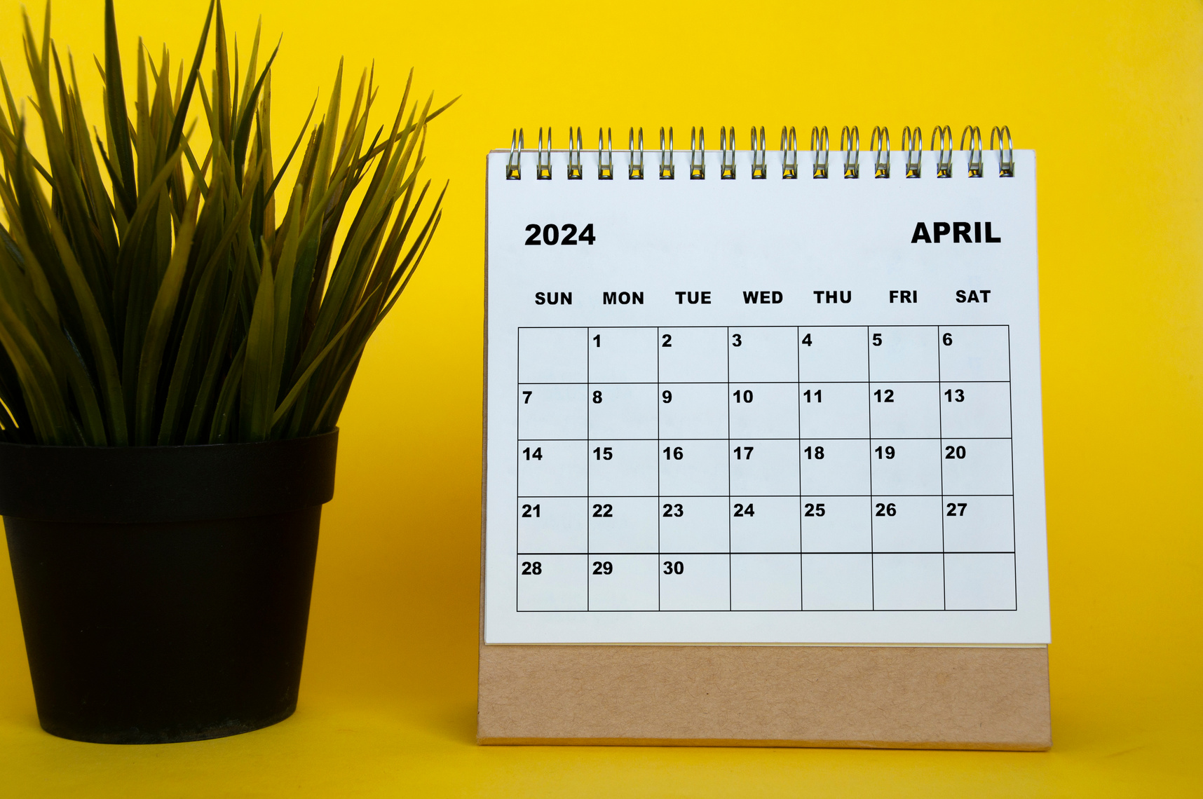 April 2024 month calendar with table plant on yellow cover background. Monthly calendar concept