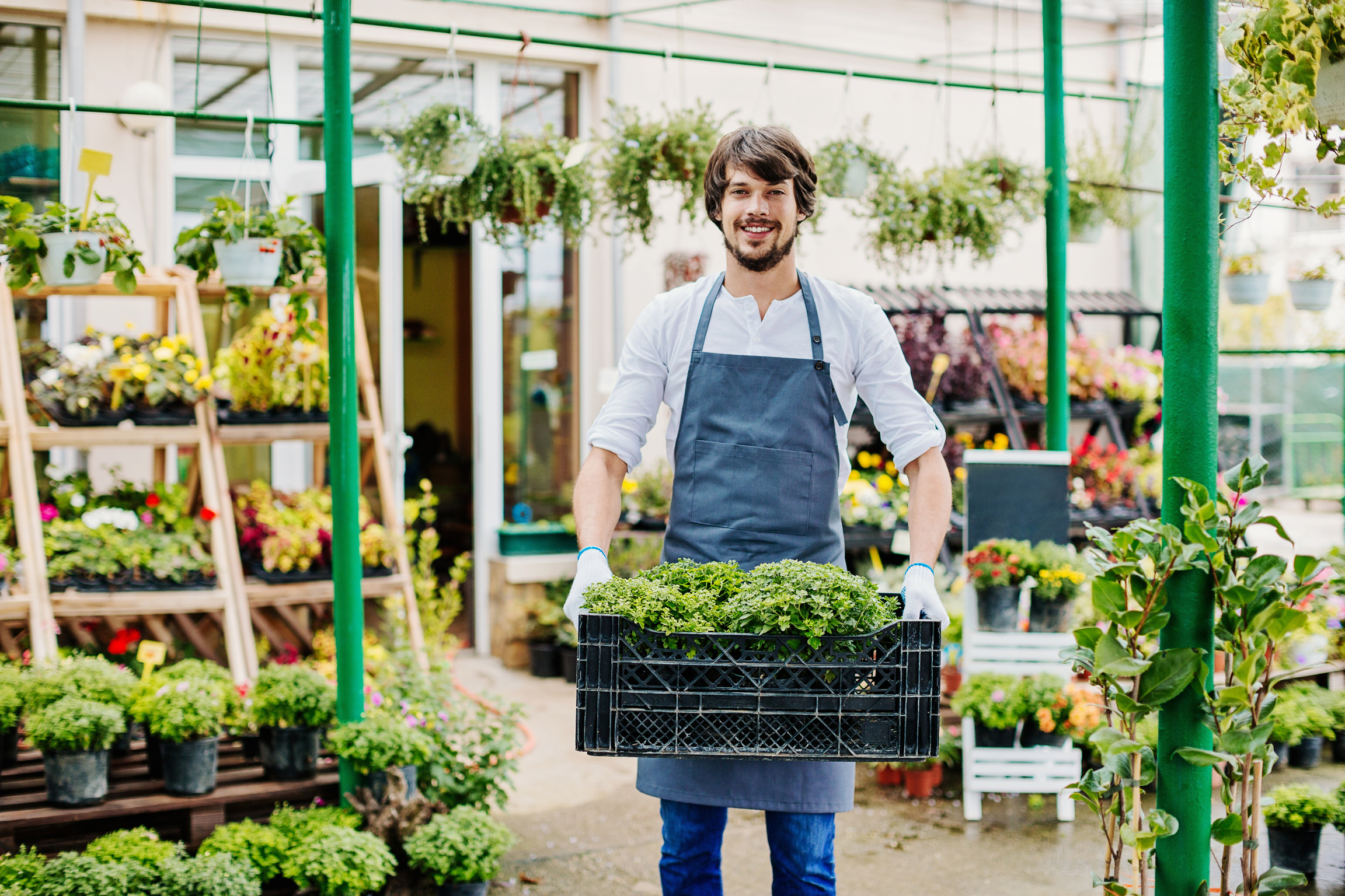 Plant nursery