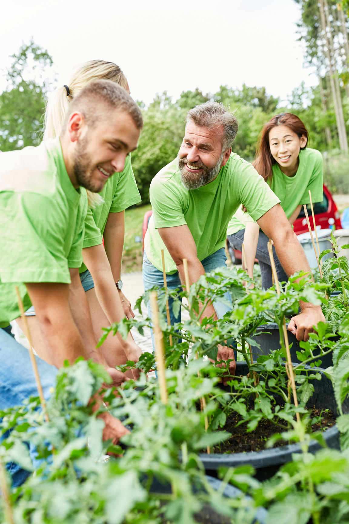 Team Gardener or Environmentalist with Plants