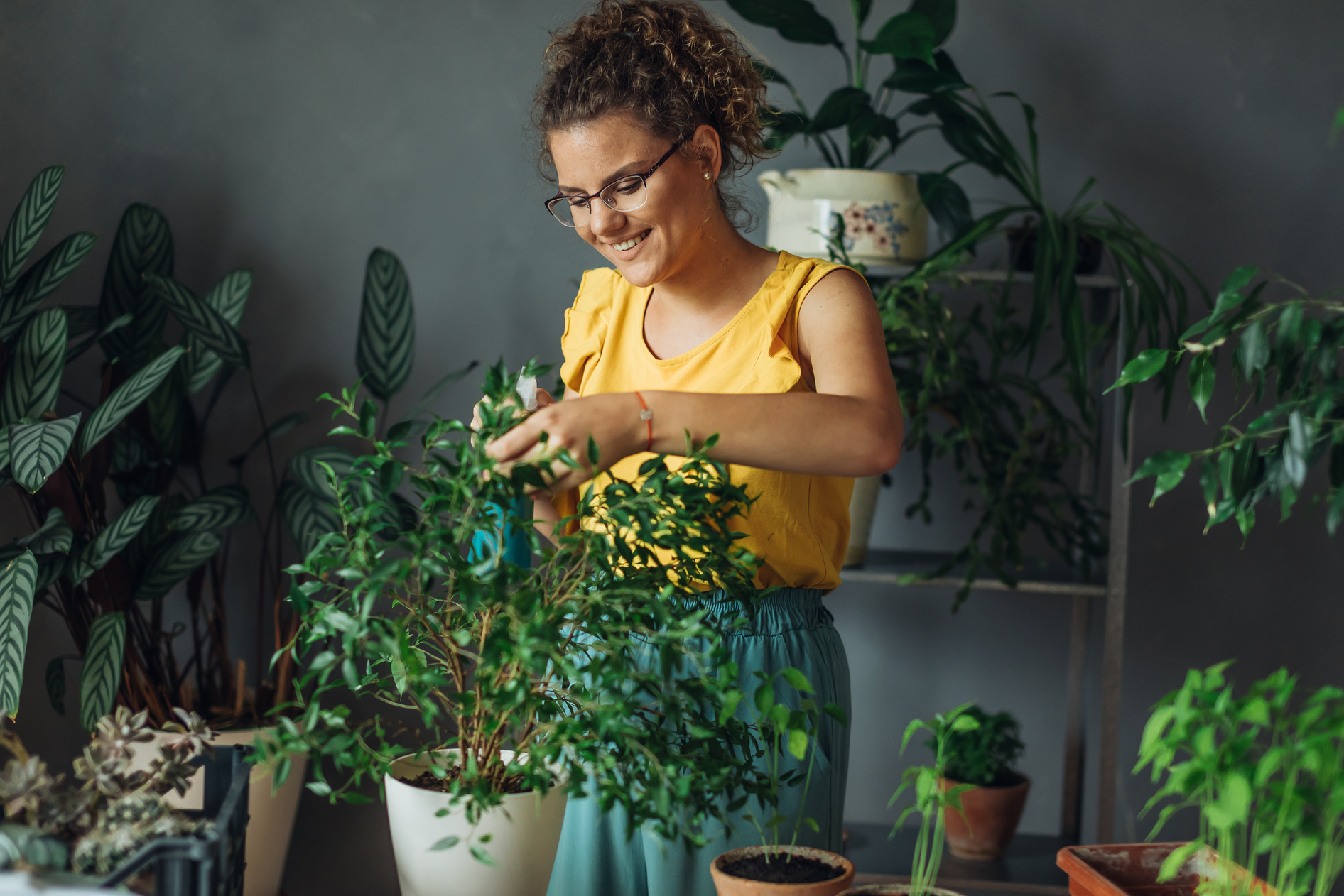 Woman caring for house plant.